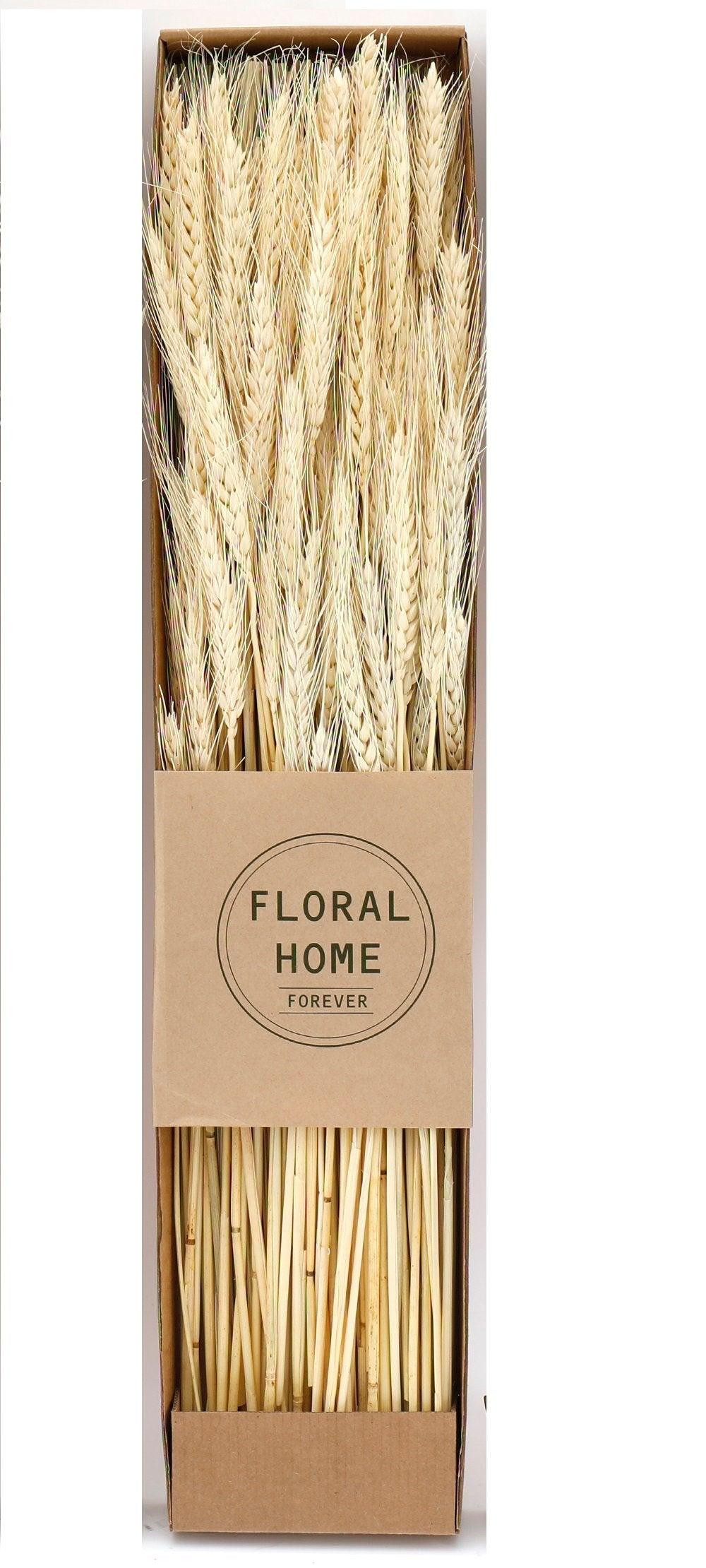Decorative Dried Wheat 60cm-Flower Sprays