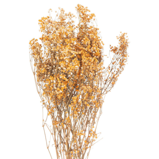 Dried Orange Babys Breath Bunch - £44.95 - Artificial Flowers 