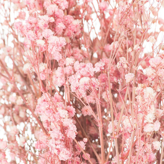 Dried Pale Pink Babys Breath Bunch-Artificial Flowers