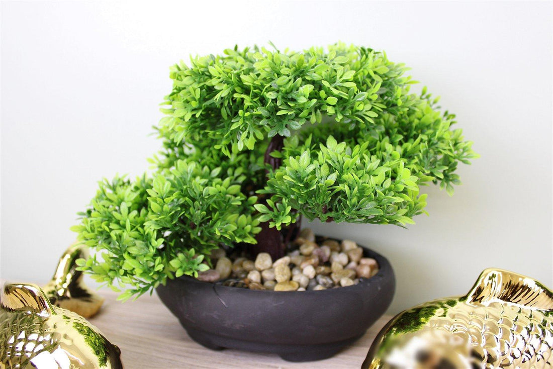 Eastern Faux Bonsai Tree in Boxwood Style - £20.99 - Small Succulents & Faux Bonsai 