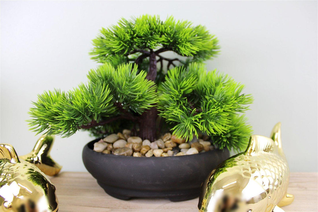 Eastern Faux Bonsai Tree in Fir Tree style - £20.99 - Small Succulents & Faux Bonsai 