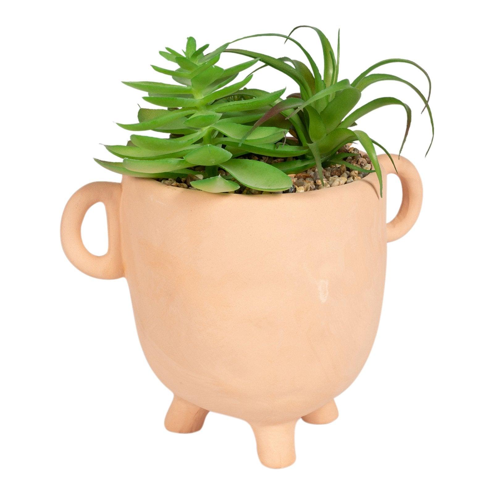 Face Terracotta Pot With Faux Cacti Large-Small Succulents & Faux Bonsai