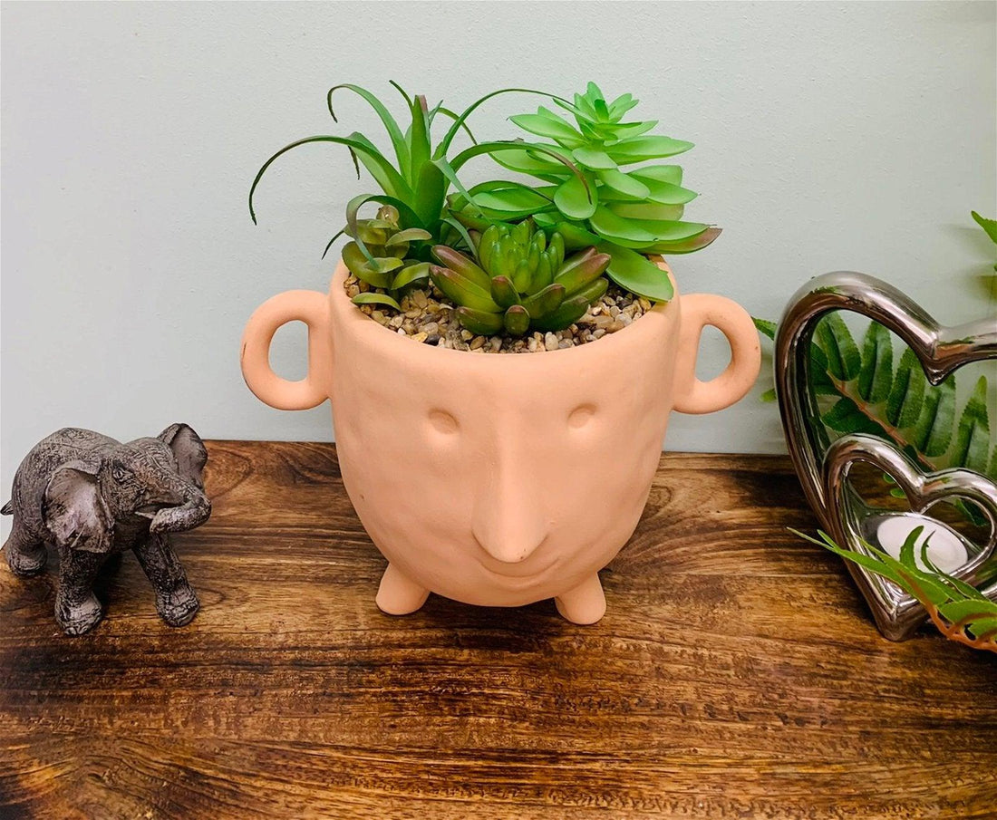 Face Terracotta Pot With Faux Cacti Large - £31.99 - Small Succulents & Faux Bonsai 