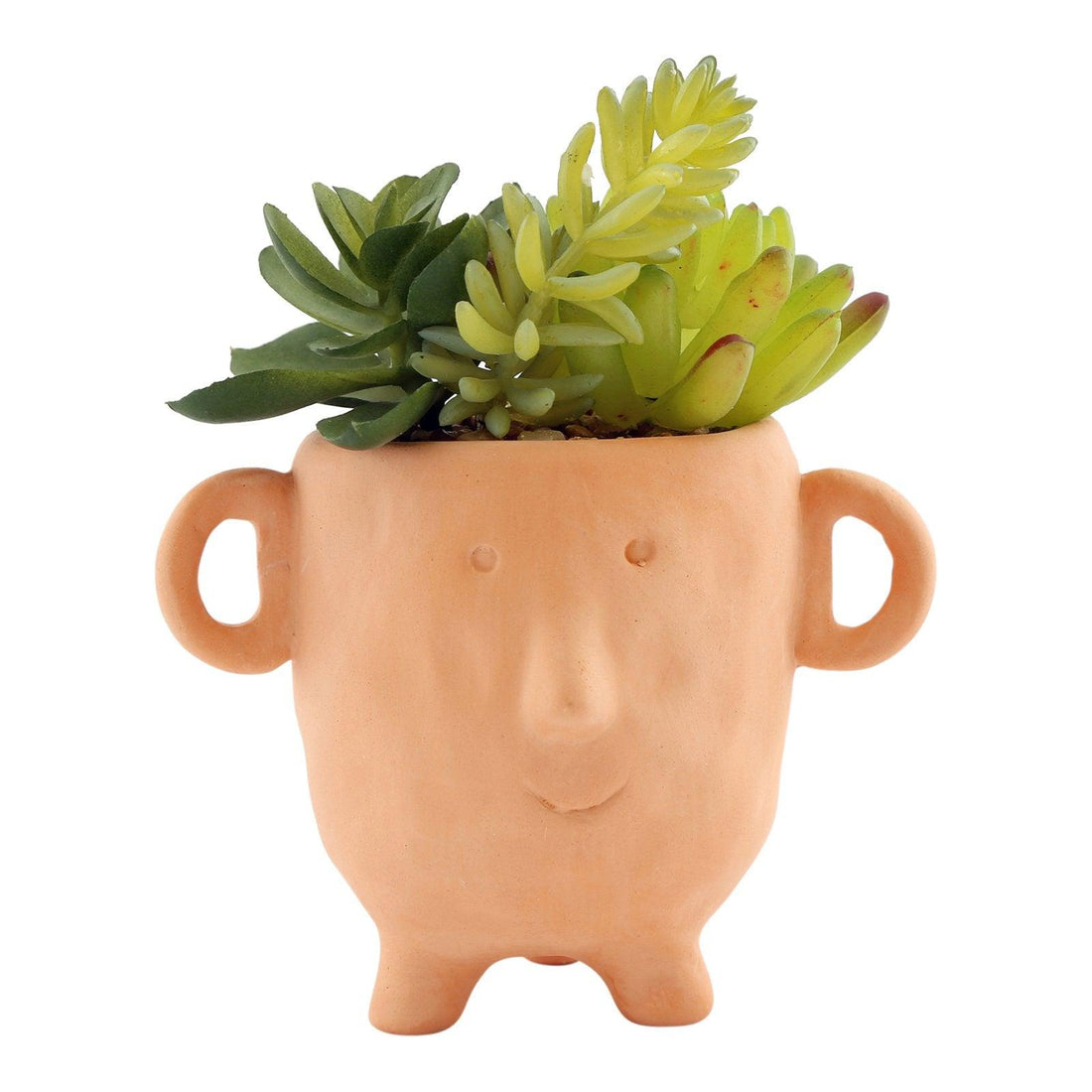Face Terracotta Pot With Faux Cacti Small - £18.99 - Small Succulents & Faux Bonsai 