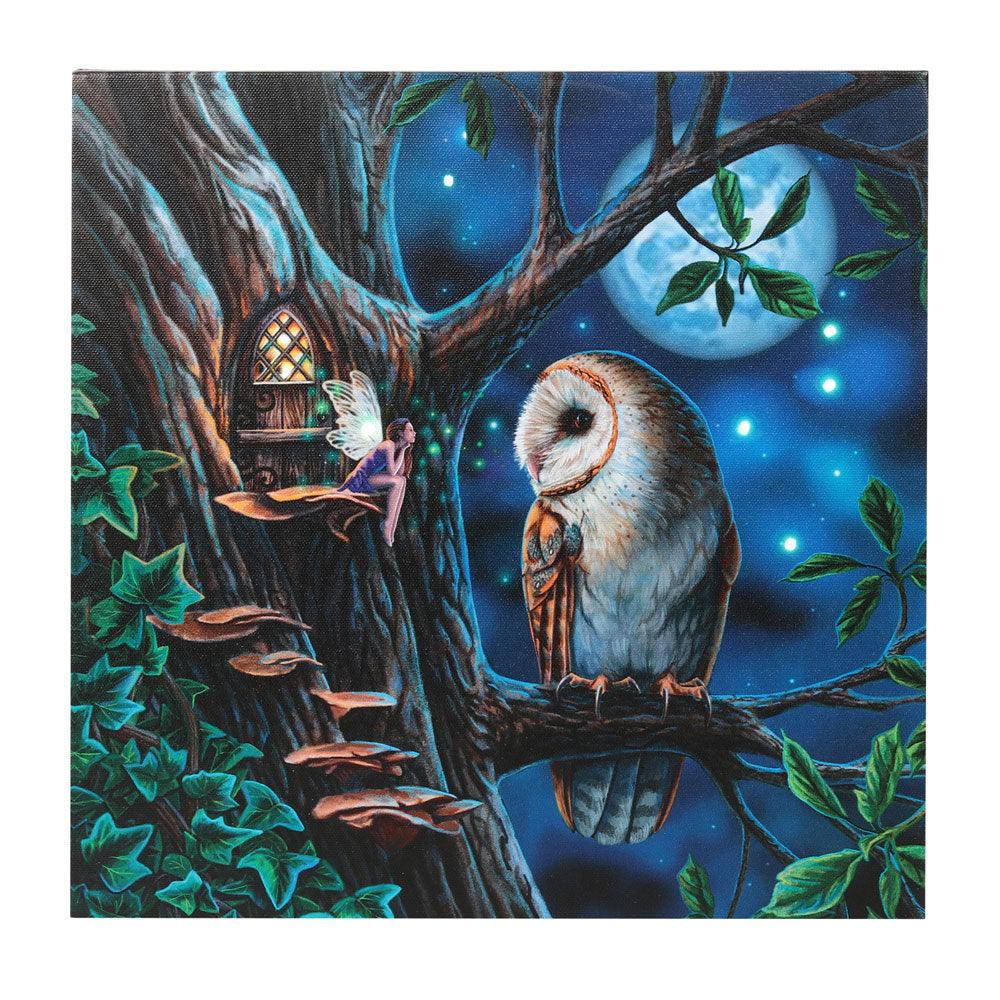 Fairy Tales Light Up Canvas Plaque by Lisa Parker - £17.99 - Wall Art 