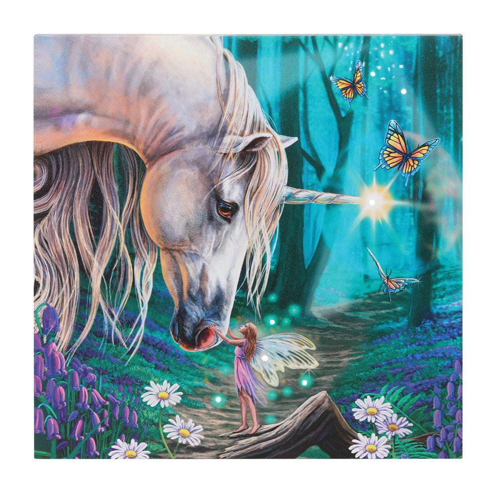 Fairy Whispers Light Up Canvas Plaque by Lisa Parker - £17.99 - Wall Art 