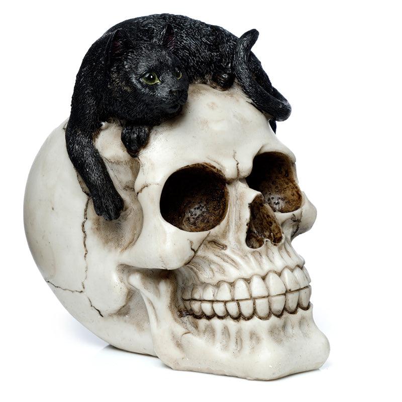 Fantasy Skull Ornament - Skull with Black Cat - £17.49 - 