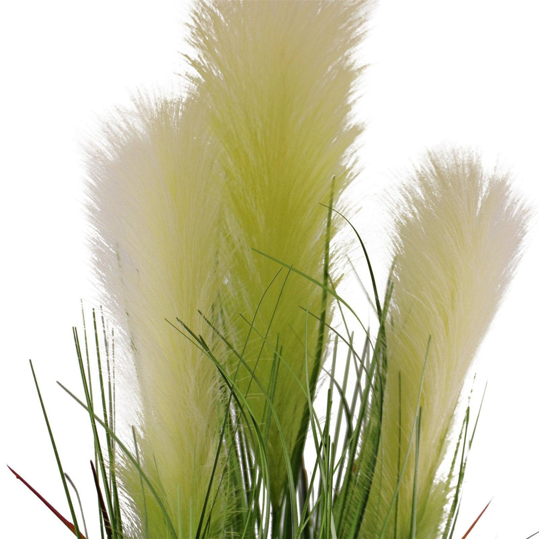 Faux Pampas Grass Display, 65cm - £34.99 - Flower Sprays 