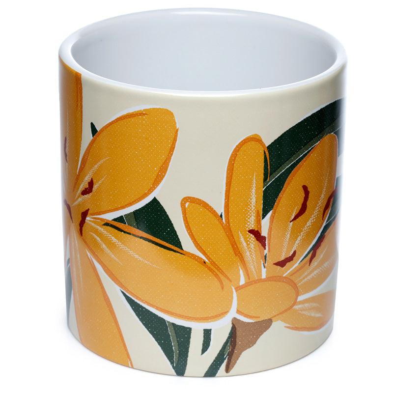 Florens Hesperantha Ceramic Indoor Plant Pot - Large-