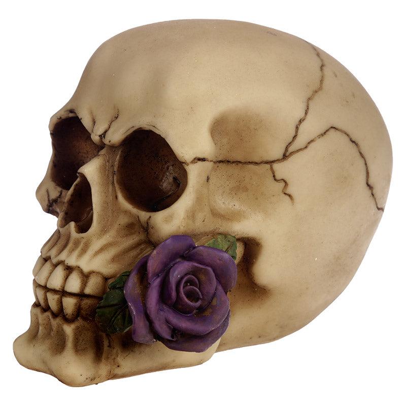 Gothic Skull Decoration with Purple Roses - £14.99 - 