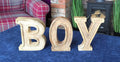Hand Carved Wooden Embossed Letters Boy - £44.99 - Words - All Designs 