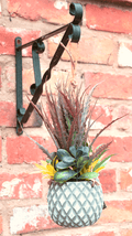 Hanging Succulents in Lattice Design Small Grey Pot-Small Succulents & Faux Bonsai