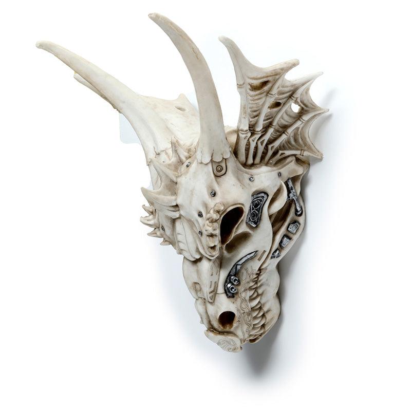 Large Dragon Skull Decoration with Metallic Detail-