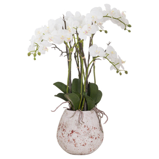 Large Stone Potted Orchid With Roots - £159.95 - Artificial Flowers 