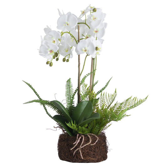 Large White Orchid And Fern Garden In Rootball-Artificial Flowers