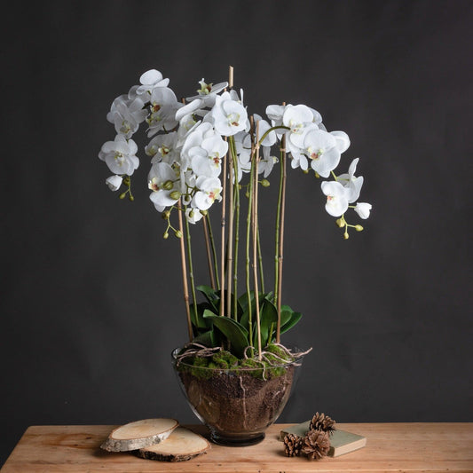 Large White Orchid In Glass Pot - £239.95 - Artificial Flowers 
