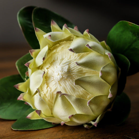 Large White Protea-Artificial Flowers