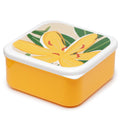 Lunch Boxes Set of 3 (M/L/XL) - Florens Hesperantha-