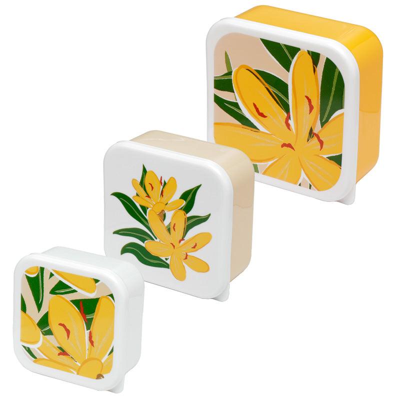 Lunch Boxes Set of 3 (M/L/XL) - Florens Hesperantha - £9.99 - 