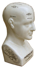 Medium Ceramic Phrenology Head, 25cm - £41.99 - 
