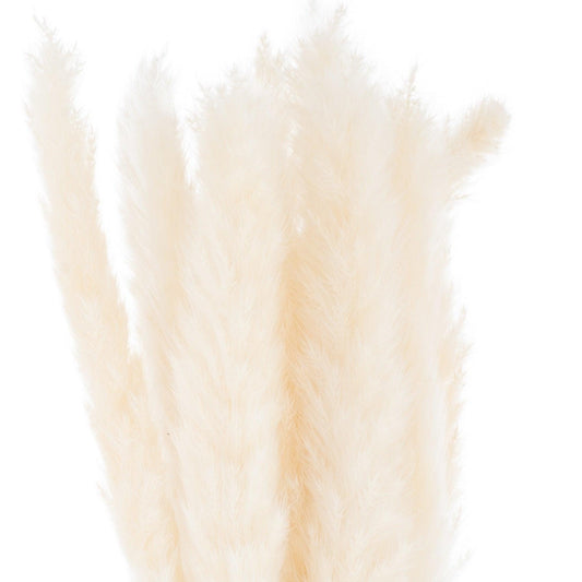 Mini White Pampas Grass Bunch Of 15 - £23.95 - Artificial Flowers 