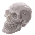 Novelty Glossy Small Skull Ornament-