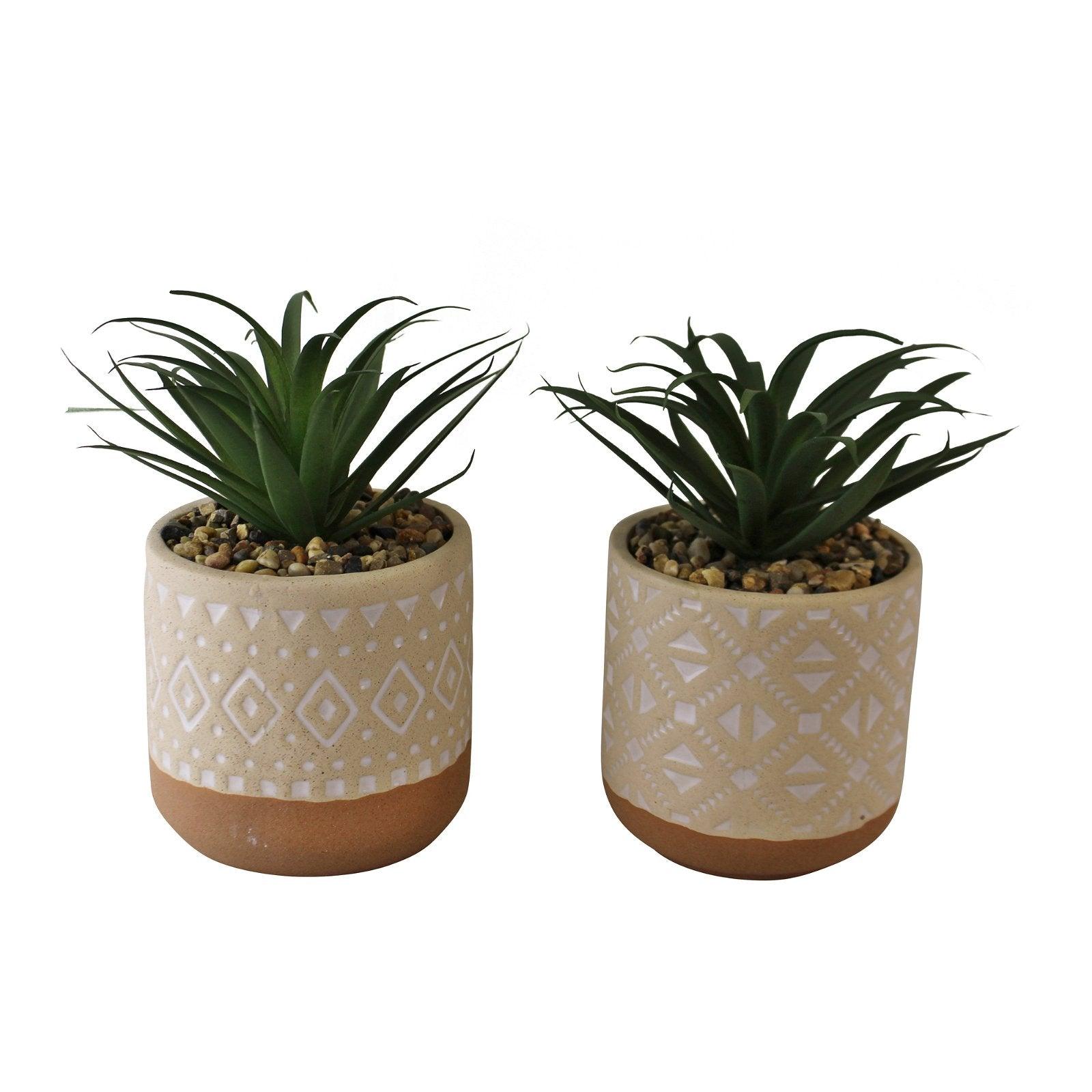 Set of 2 Faux Succulents In Ceramic Pots-Small Succulents & Faux Bonsai