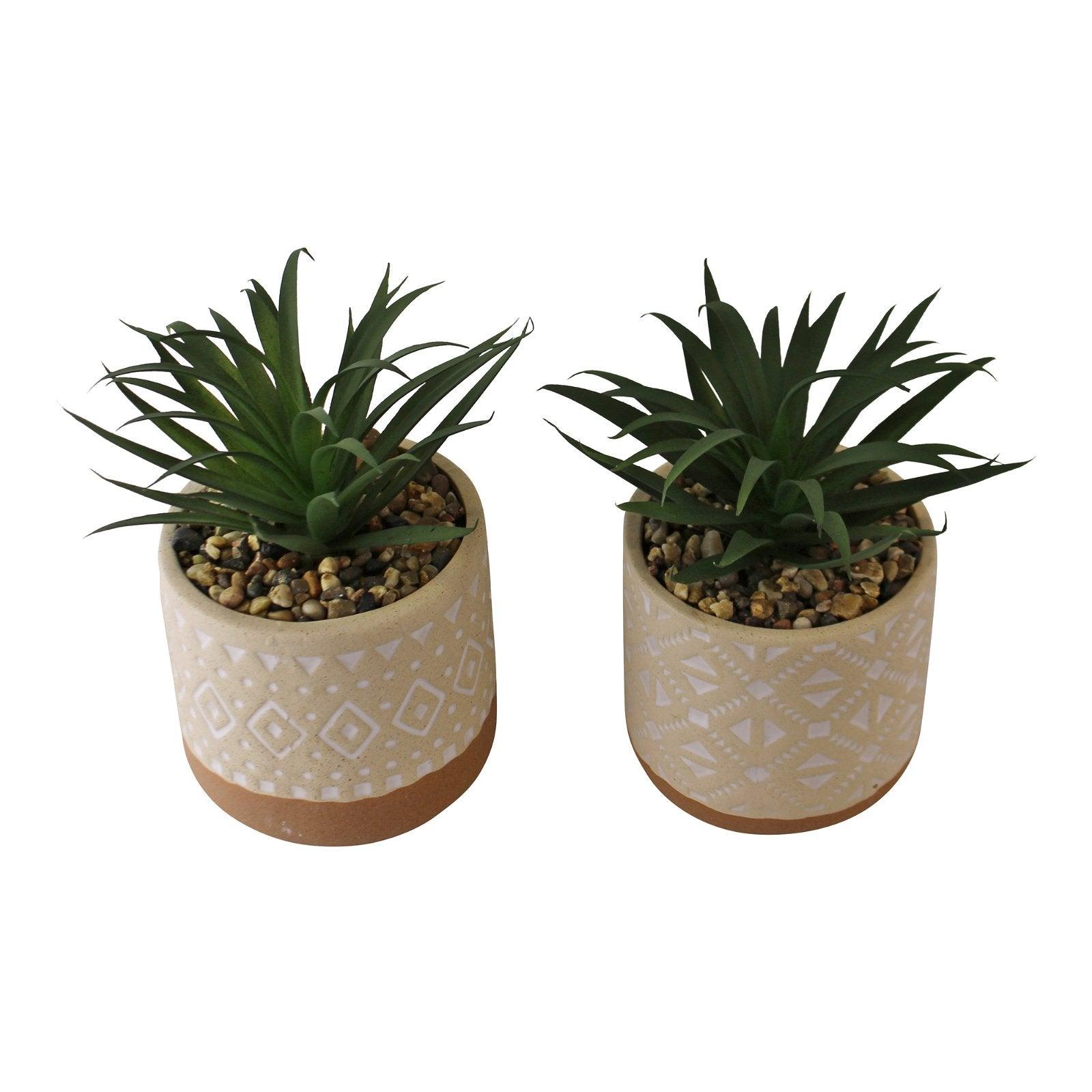 Set of 2 Faux Succulents In Ceramic Pots - £38.99 - Small Succulents & Faux Bonsai 