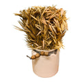 Set of 3 Dried Grasses In Ceramic Pots-Small Succulents & Faux Bonsai