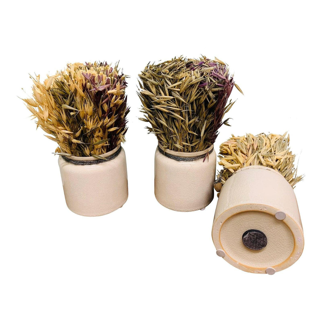 Set of 3 Dried Grasses In Ceramic Pots - £60.99 - Small Succulents & Faux Bonsai 