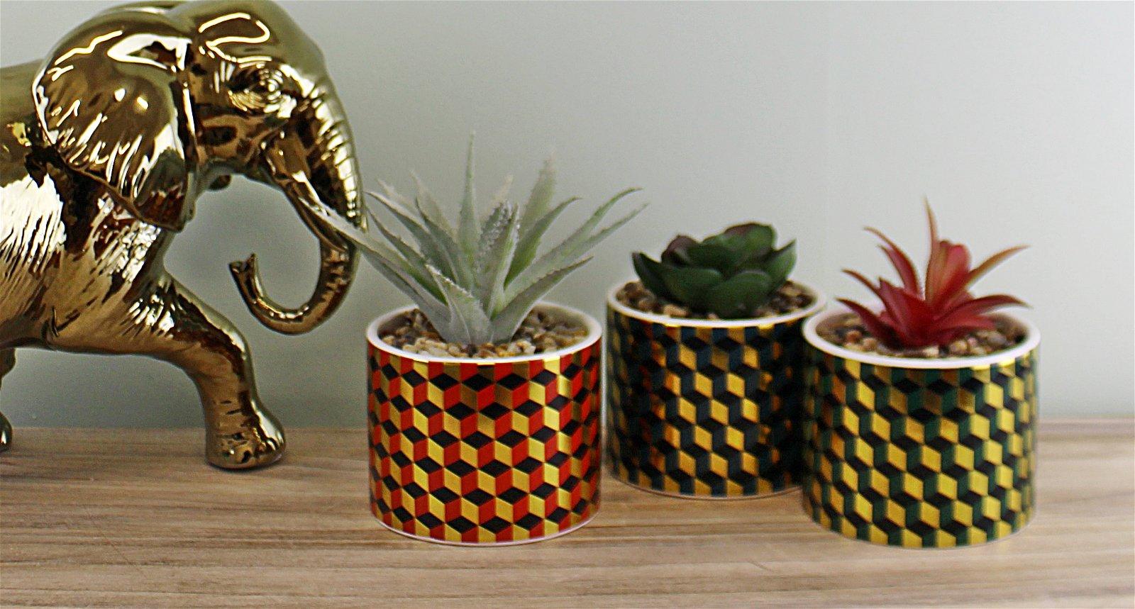 Set of 3 Succulents In Ceramic Pots With A Cubic Design-Small Succulents & Faux Bonsai