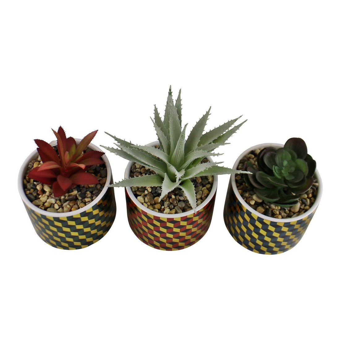 Set of 3 Succulents In Ceramic Pots With A Cubic Design - £52.99 - Small Succulents & Faux Bonsai 