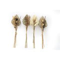 Set of Four Bouquets of Dried Grasses with Palm Spear-