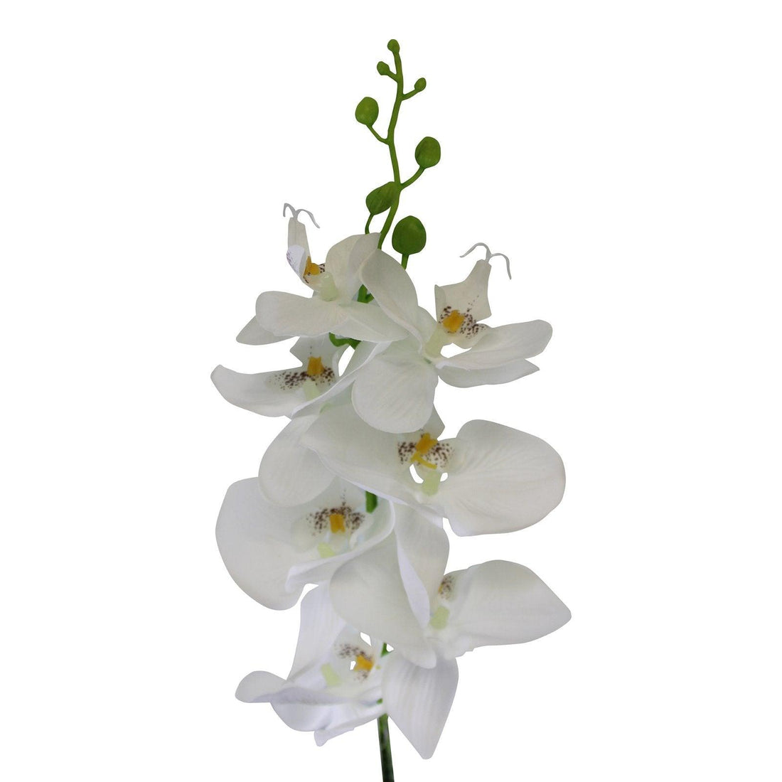 Single Orchid Spray, White Flowers, 85cm - £12.99 - Flower Sprays 