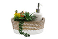 Soap Dispenser Tray with Succulent-Bathroom