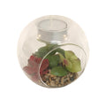 Succulent In Glass Terrarium with TeaLight Holder - £15.99 - Small Succulents & Faux Bonsai 