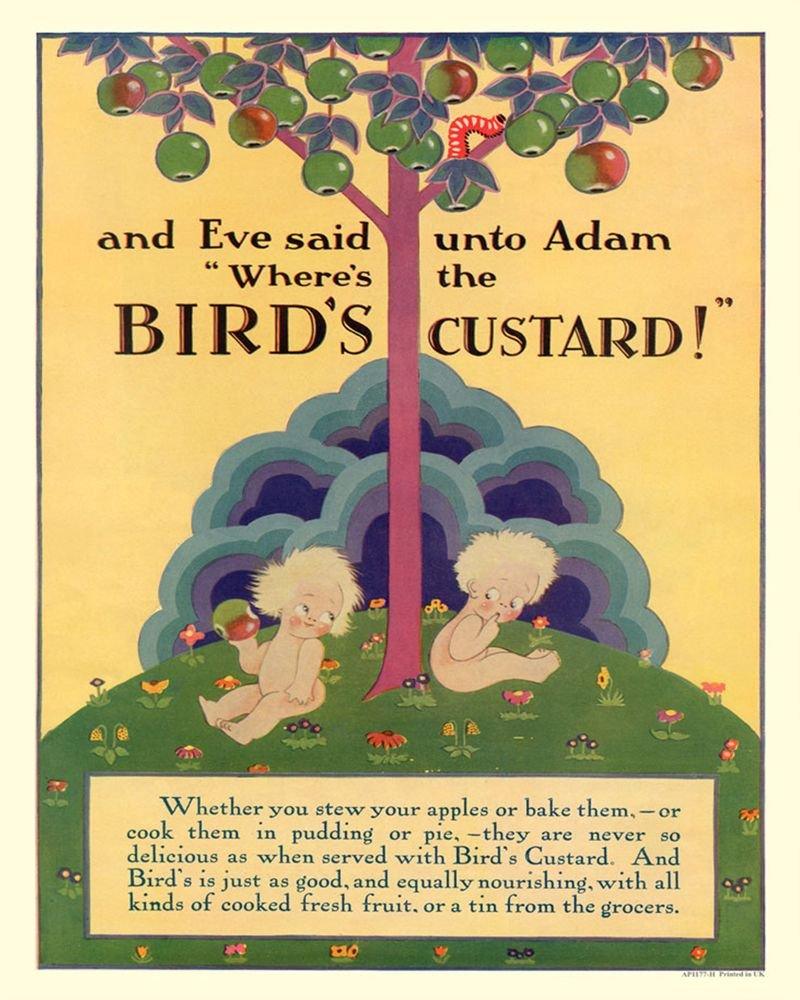 Vintage Metal Sign - Retro Advertising - Birds Custard, Adam & Eve - £27.99 - Retro Advertising 