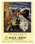 Vintage Metal Sign - Retro Advertising - Black & White Scotch Whiskey-Retro Advertising