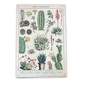 Vintage Metal Sign - Retro Cacti & Succulents Identification Picture-Signs & Rules
