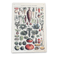 Vintage Metal Sign - Vintage Botanical Kitchen Vegetables Sign-Signs & Rules