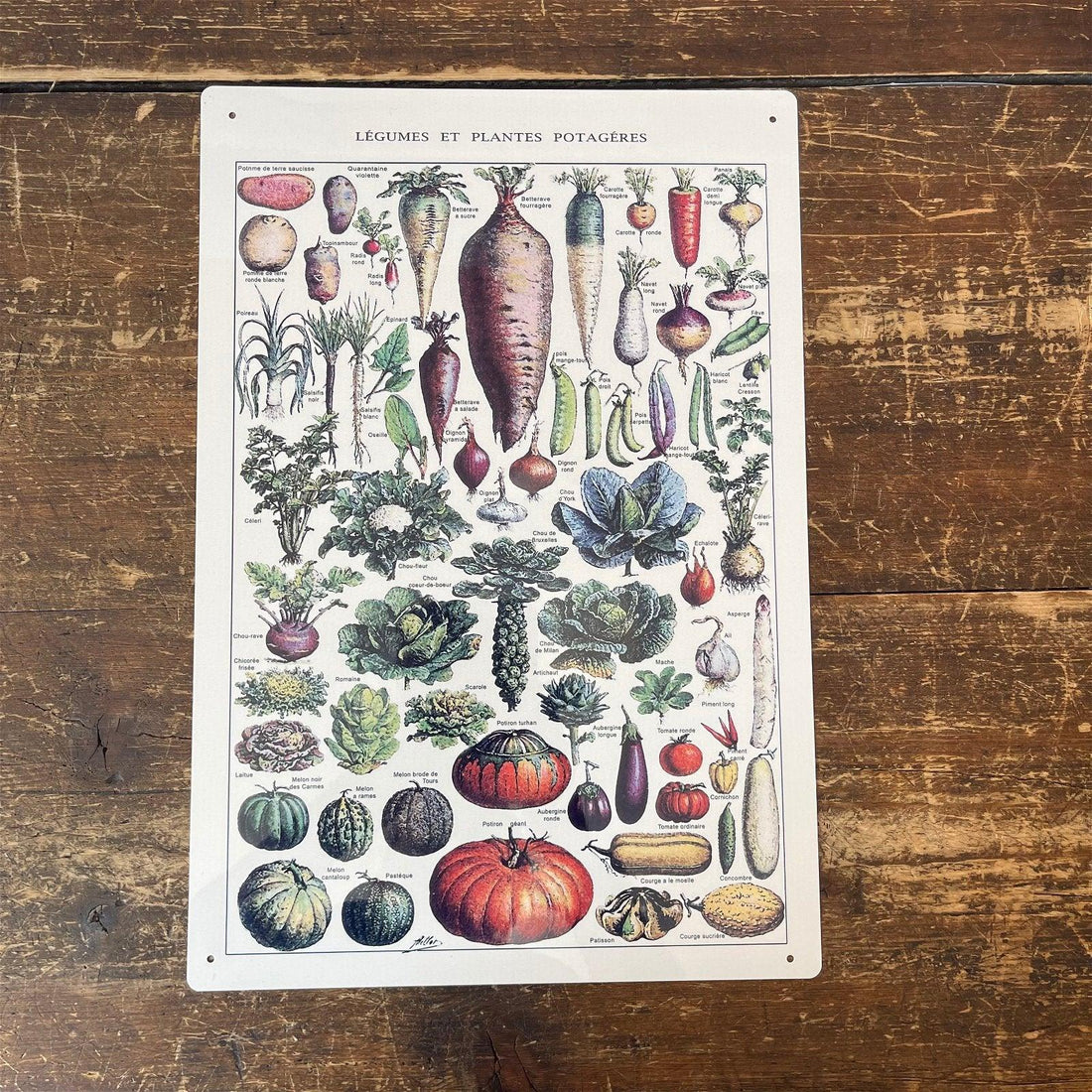 Vintage Metal Sign - Vintage Botanical Kitchen Vegetables Sign - £27.99 - Signs & Rules 