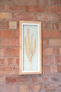 White Pampas In Rectangular Frame 50cm-Pictures
