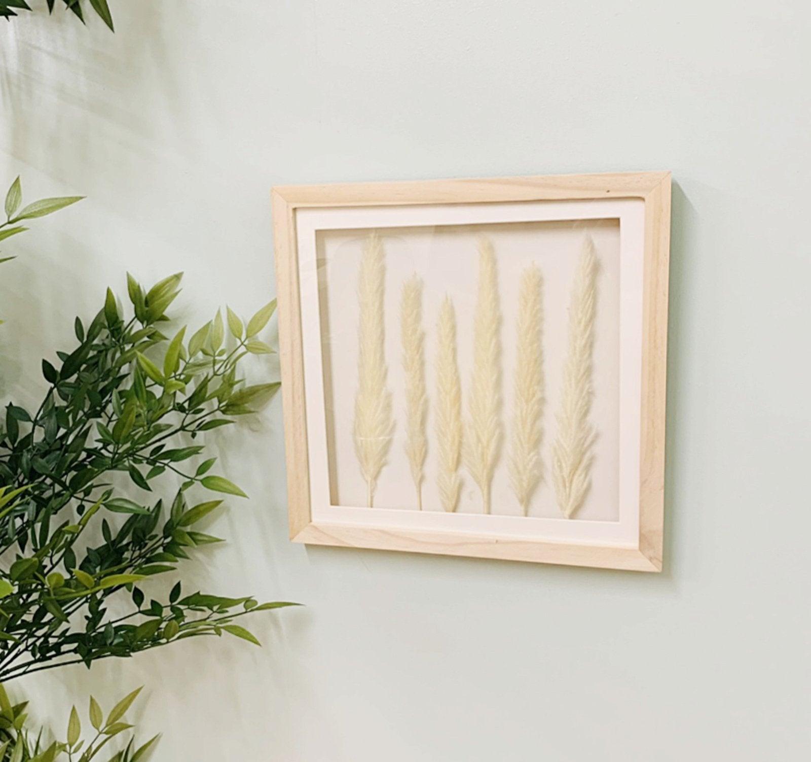 White Pampas In Square Frame 31cm - £34.99 - Pictures 